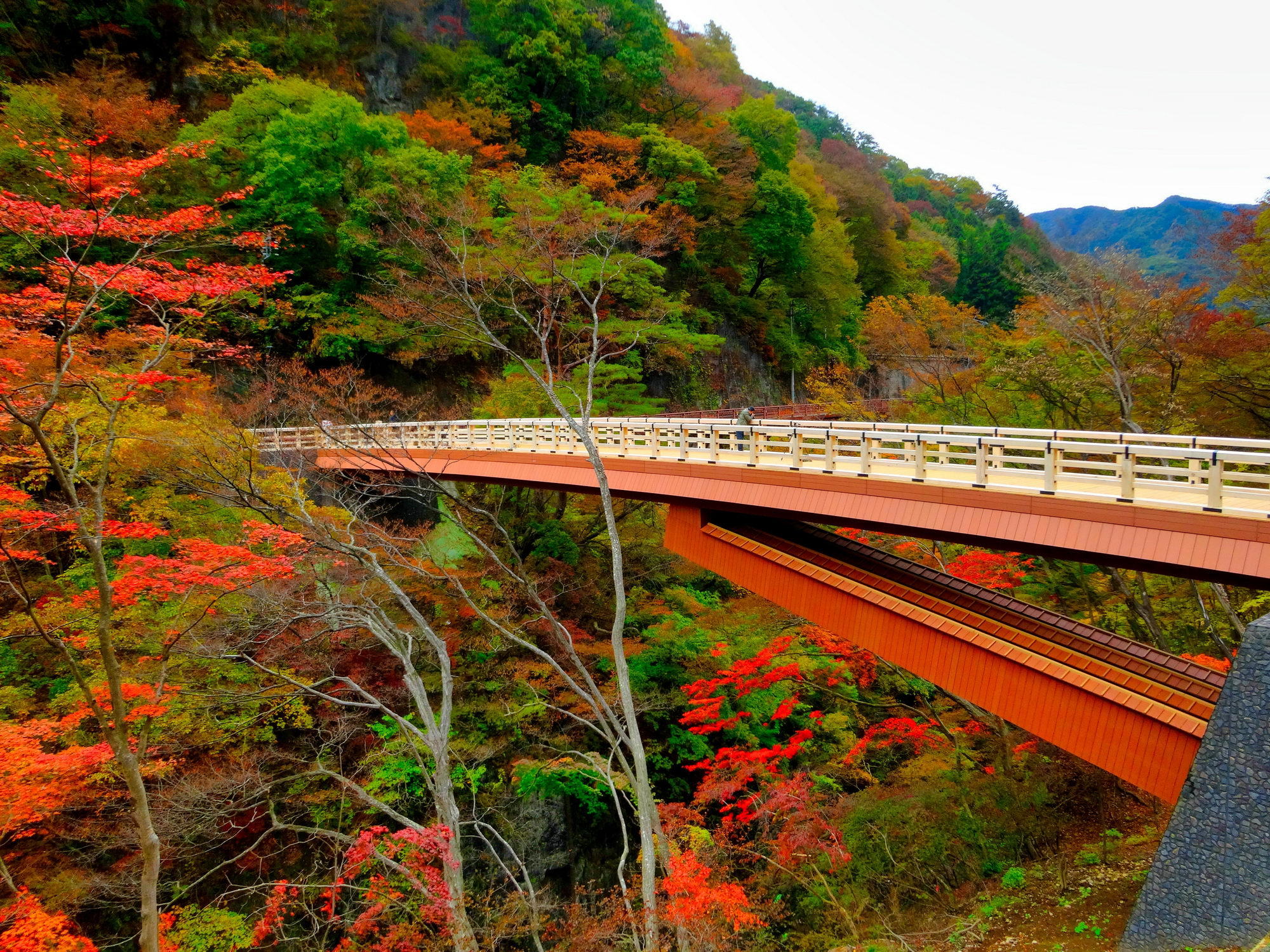 吾妻峡の画像1