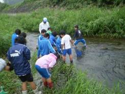 安中市立臼井小学校の写真