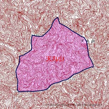 天丸山位置図　上野村天丸山西面を中心とした地域