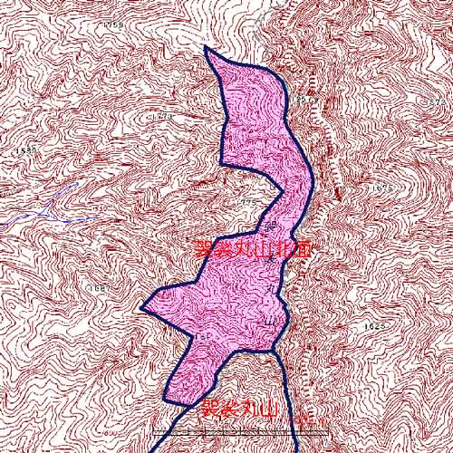 袈裟丸山北面位置図　栃木県境に位置する後袈裟丸山と北袈裟丸山西面を中心とした地域　沼田市