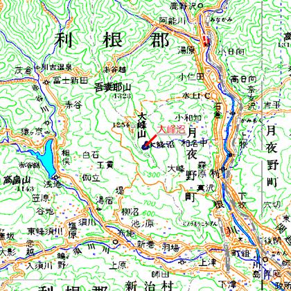 大峰沼広域図　みなかみ町小川　大峰沼