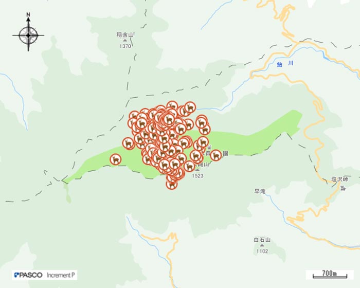 平成30年10月ニホンジカGPS調査画像