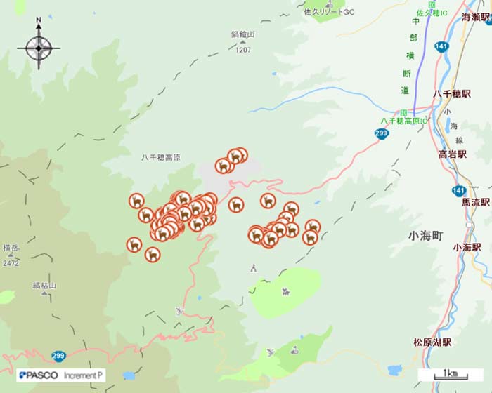 平成31年4月ニホンジカGPS調査画像