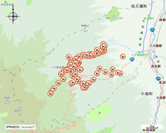 令和元年5月ニホンジカGPS調査画像