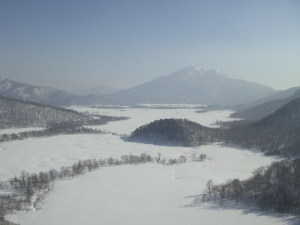 Winterの画像