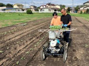 半自動定植機を使用して定植している画像