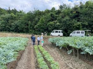 （画像）立毛審査の様子写真