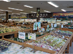 ファームドゥ食の駅前橋南店1の画像