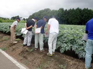 ９月コンニャク共進会の画像1