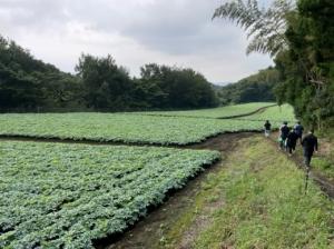 （画像）種玉の部ほ場審査（子持地区）