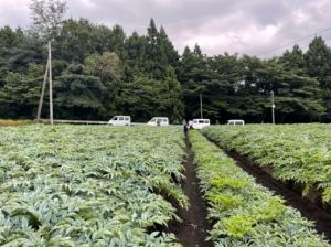 （画像）販売玉の部ほ場審査（赤城地区）