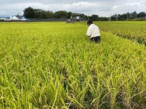 （画像）ほ場確認の様子（吉岡地区）