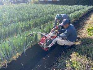 （画像）土寄せ作業の現地指導