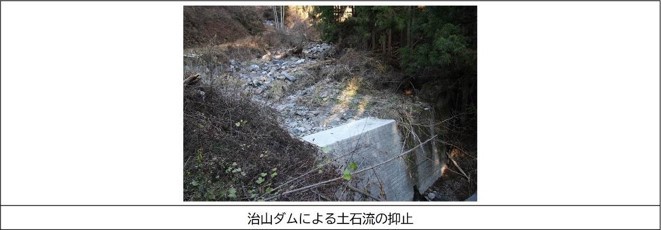 治山ダムによる土石流の抑止の画像