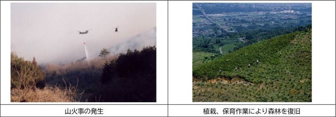山火事の発生、植栽・保育作業により森林を復旧画像