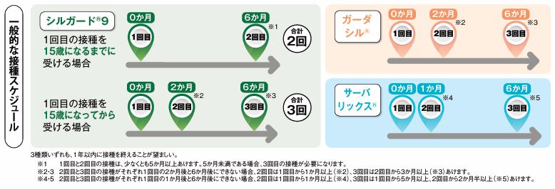 一般的な接種スケジュールの画像