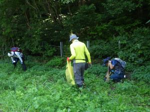 オオハンゴンソウ駆除作業の様子