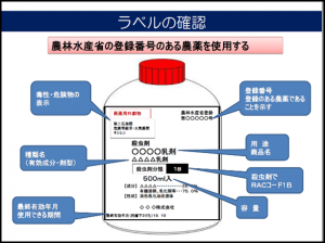 研修資料の一部（図）画像