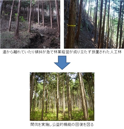 条件不利地森林整備事業のイメージ画像