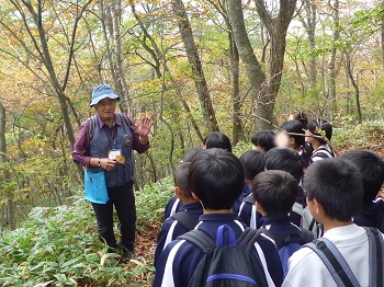 森林環境教育の写真