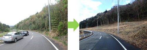 荒廃した里山・平地林の整備の写真