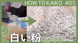 動画サムネイル1画像