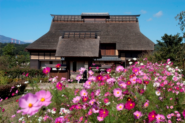 Thatch-roofed farm house