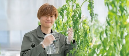 農業経営学科 野菜コースの画像