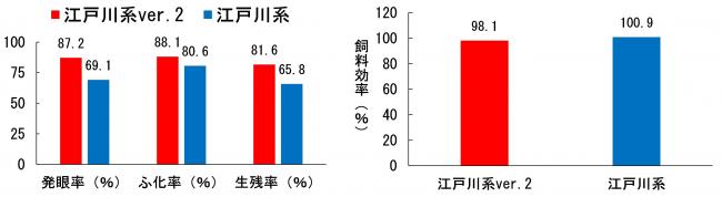 江戸川系ver2の飼育成績画像