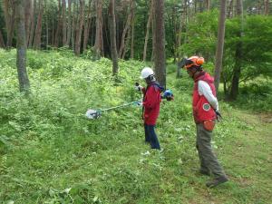 森林ボランティア体験