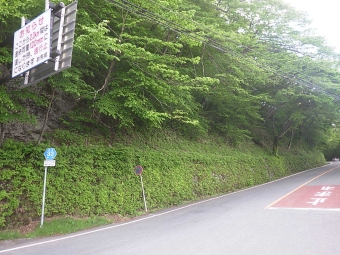 【対策前】の写真
