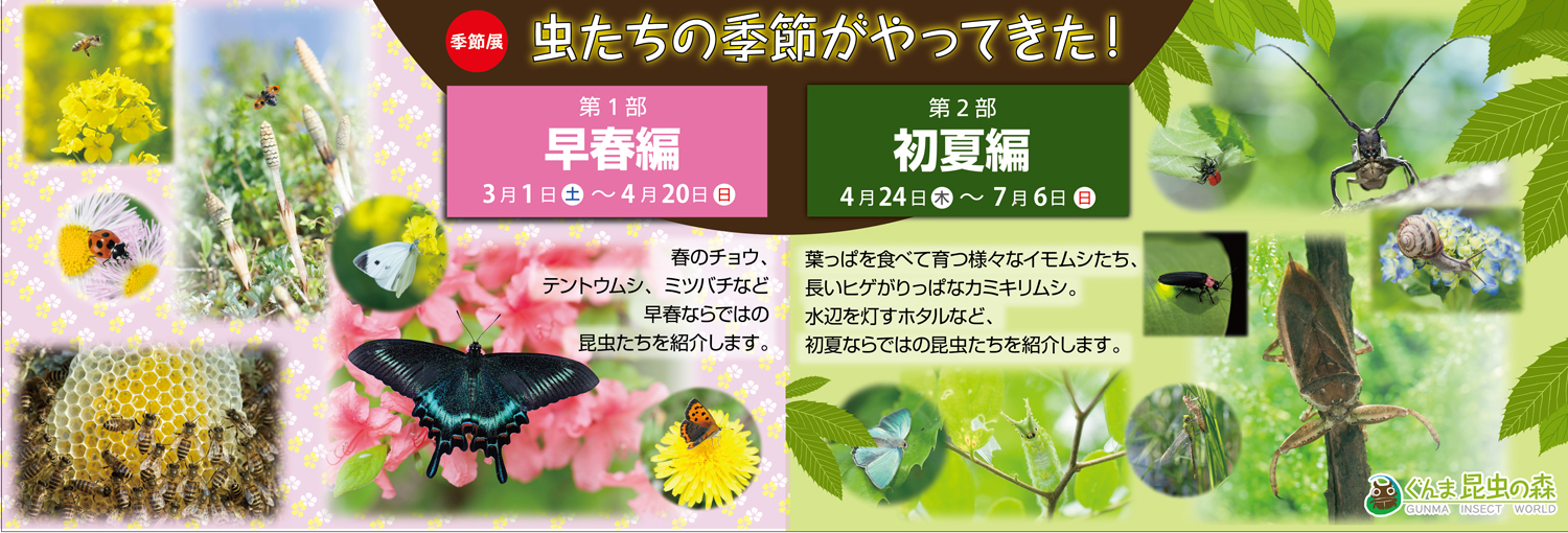 季節展　早春編・初夏編