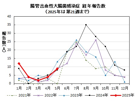 腸管出血性大腸菌感染症　経年報告数画像