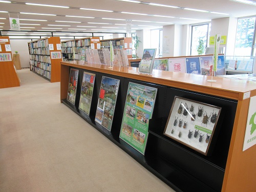 ぐんま昆虫の森の展示の写真