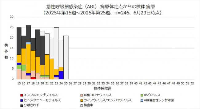 ARI病原体検出状況
