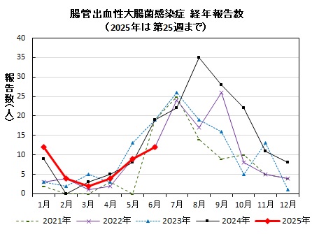 腸管出血性大腸菌感染症　経年報告数画像