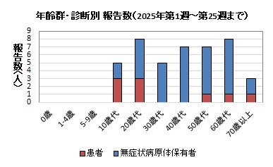 年齢群・診断別報告数（2025年）グラフ画像