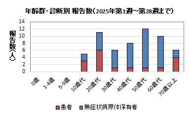 年齢群・診断別報告数（2025年）グラフ画像