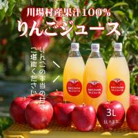 りんごジュースの画像
