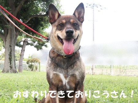 リーベの体の画像➂