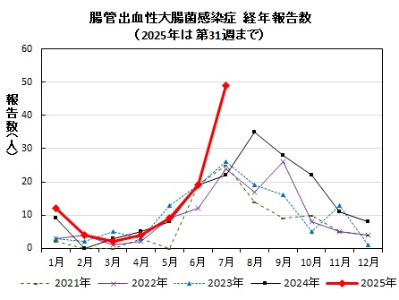 腸管出血性大腸菌感染症　経年報告数画像