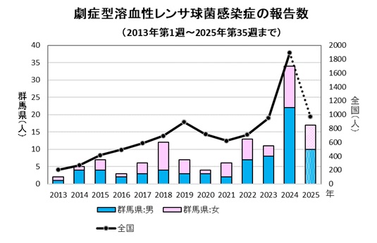 劇症型溶血性レンサ球菌感染グラフ　経年画像