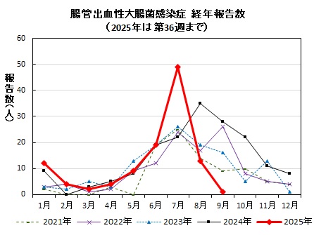 腸管出血性大腸菌感染症　経年報告数画像
