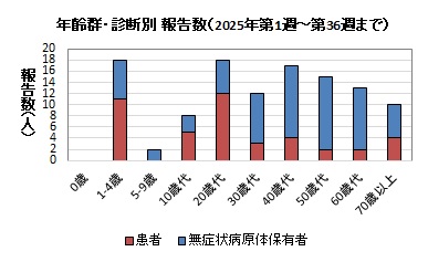 年齢群・診断別報告数（2025年）グラフ画像