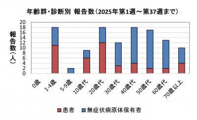 年齢群・診断別報告数（2025年）グラフ画像