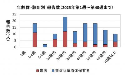 腸管出血性大腸菌感染症　年齢群別　診断別報告数画像