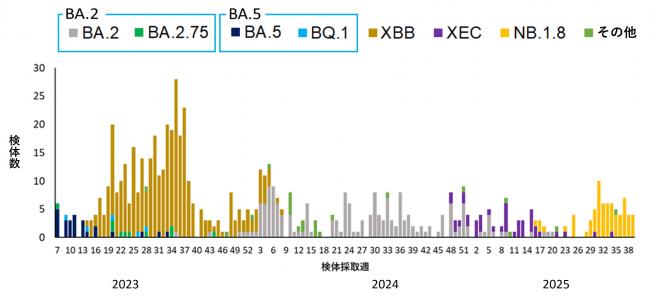 時系列解析グラフ画像