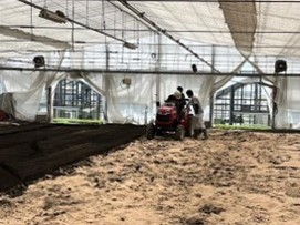 土壌消毒の写真1