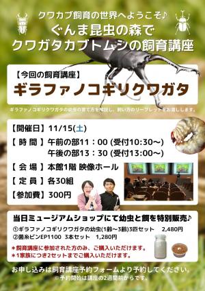 ギラファノコギリクワガタ飼育講座