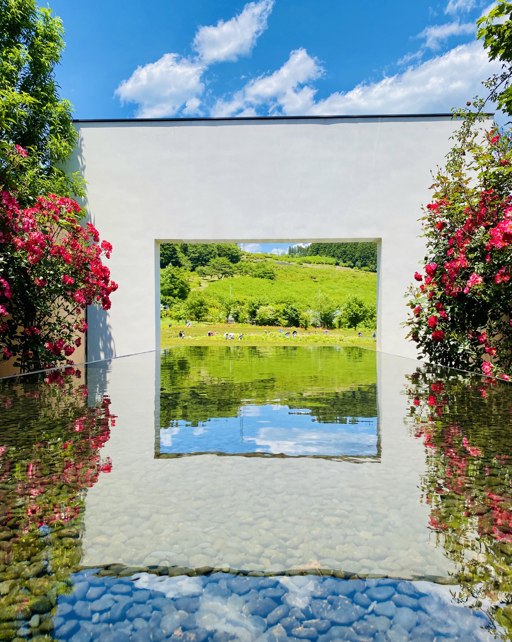 第56回（令和5年度）四万温泉協会長賞の作品写真